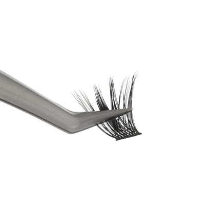 DIY Segment Lash - Desire